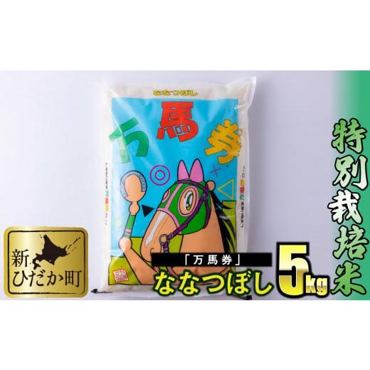 ふるさと納税 北海道 新ひだか町 北海道産 特別栽培米 ななつぼし 万馬券 5kg 白米 精米 お米 北海道米