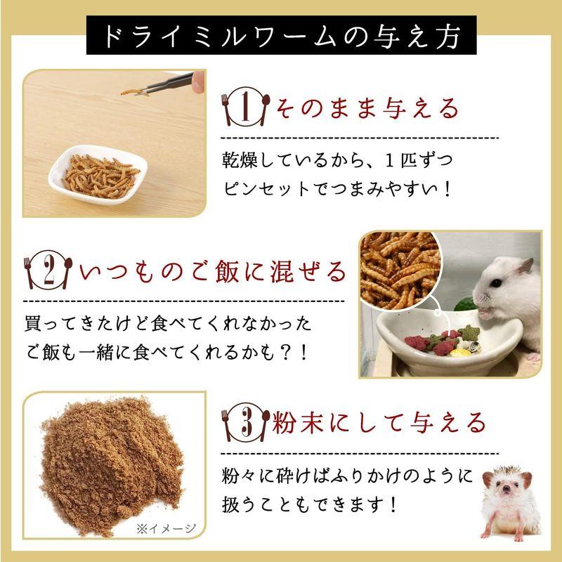 マルカン　虫グルメ　乾燥ミルワーム　お徳用　８０ｇ　小動物　タンパク質　フード