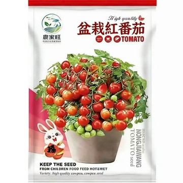 台灣原裝紅番茄種子 盆栽番茄 陽台種植 家庭菜園 鮮採種子 自栽番茄 迷你番茄 水果番茄 當季採收 易種活