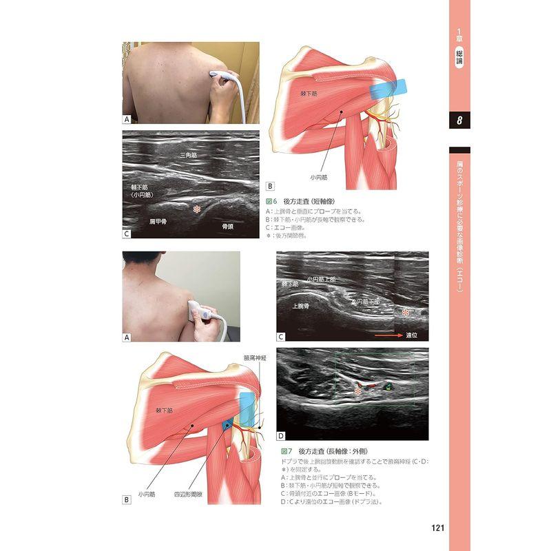 整形外科医のための 肩のスポーツ診療のすべて