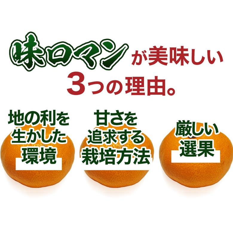 みかん 味ロマン 糖度12度選別 JA長崎せいひ 約2.5kg×2箱 外皮に傷あり (11月出荷：2S-M、12月出荷：S-L) ※常温　送料無料 長崎県 ご自宅用 訳あり