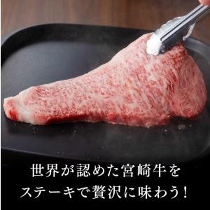 ふるさと納税 ※令和6年2月より順次発送※5等級! 牛肉 宮崎牛 サーロインステーキ 400g 【牛 肉 牛肉 国産牛肉 牛 宮崎県産牛肉 牛 黒毛和牛 肉.. 宮崎県川南町