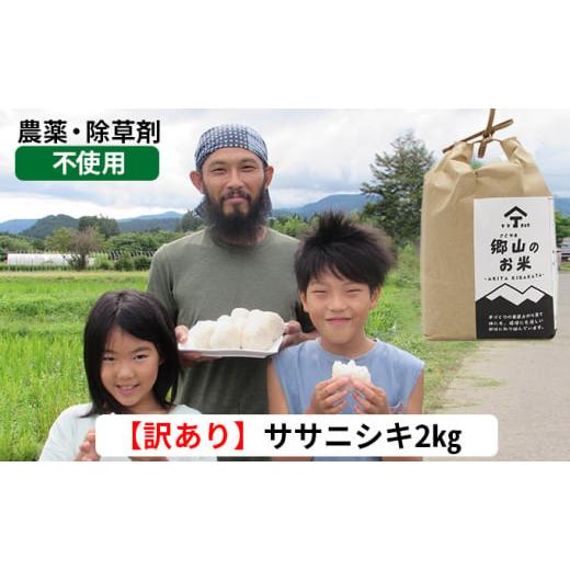 ふるさと納税 秋田県 にかほ市 訳あり！2kg×1袋 農薬不使用のササニシキ（玄米）