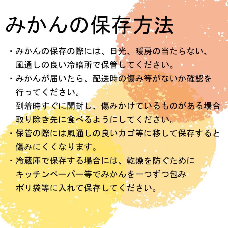 みかん 大玉（2Lサイズ以上）10kg（箱込約10kg）和歌山県産 訳あり・ご家庭用 送料無料（東北・北海道・沖縄県除く）（配達日指定不可）