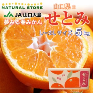 [予約 3月1日-4月15日の納品] せとみ 春みかん L 2L 約5kg 産地箱 高糖度 柑橘 山口県産 JA山口 JA山口大島 みかん 上級品