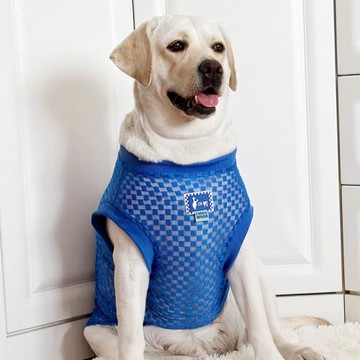 狗狗衣服大型犬夏薄款潮牌網眼衣服拉布拉多金毛夏季透氣舒適衣服