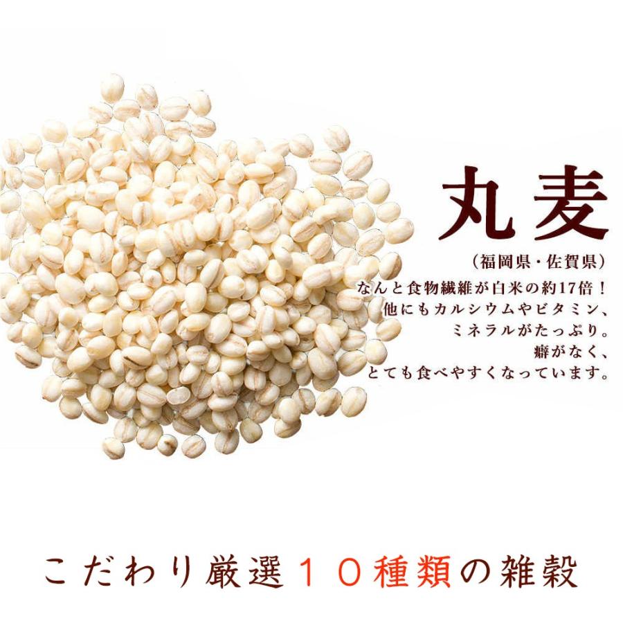 雑穀 雑穀米 国産 胡麻香る十穀米 4.5kg(450g×10袋) 送料無料 ダイエット食品 置き換えダイエット 雑穀米本舗 ＼セール／