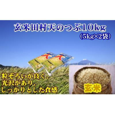 ふるさと納税 田村市  田村市産天のつぶ10kg(5kg×2袋)