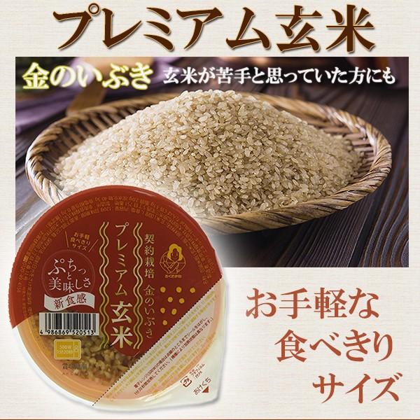 24個セット　金のいぶき プレミアム玄米 ごはん120ｇ×24 玄米レトルト 玄米ごはんパック 幸南食糧