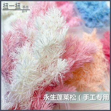 永生花🌸 永生花蓬萊鬆針小份裝做手作製作禮品浮遊瓶貼臉旅拍情人聖誕閨蜜