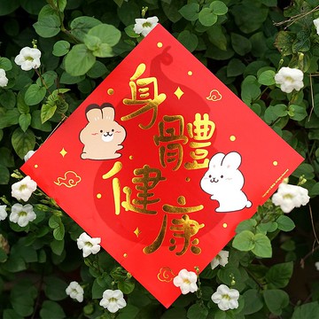 兔仙創意春聯揮春福字貼原創斗方INS身體健康新年裝飾