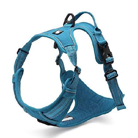 Chai's choice store service dog harness