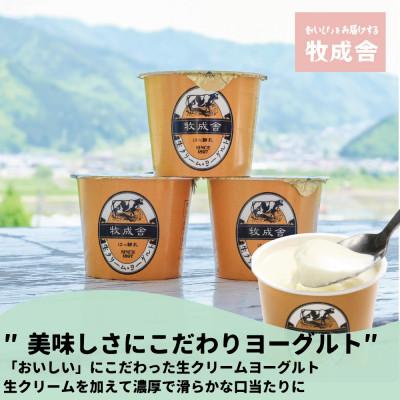 ふるさと納税 飛騨市 飛騨の牛乳屋・牧成舎のこだわりカップヨーグルト12点セット