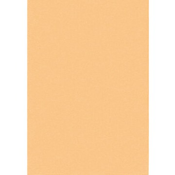 【文具通】對開 對K 書面紙 海報紙 淺柑色 出貨量為5張 購買前請注意，紙製品不接受退換貨! P1400039【APP滿額下單10%點數(單一帳號最高1000點)】4/30止
