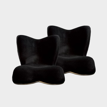 【雙入組】Style PREMIUM DX 健康護脊椅墊 頂級款 (尊爵黑)