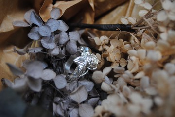 秘境低語 莉莉安娜絲