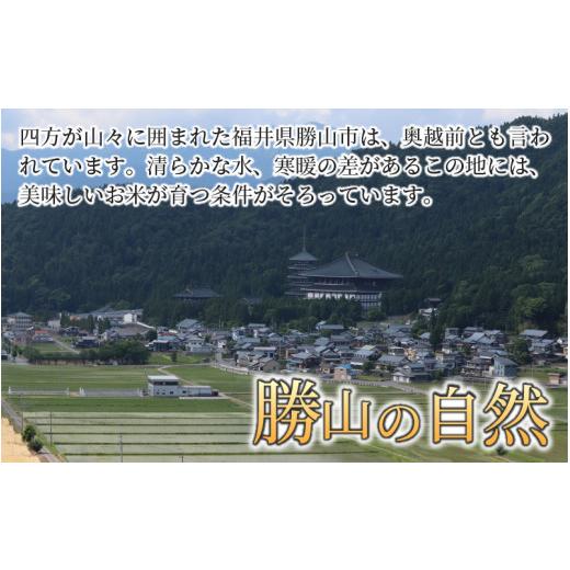 ふるさと納税 福井県 勝山市 『定期便』 令和5年産 新米 勝山のお米コシヒカリ5kg 全12回 [J-010020]