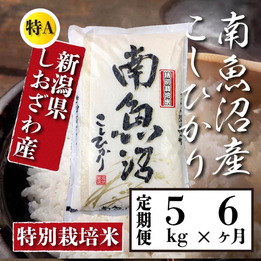  米 5kg 《定期便 6ヶ月》 新潟 南魚沼 塩沢産 コシヒカリ 生産者限定米 令和5年産 