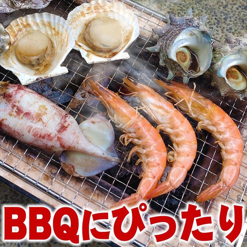 海鮮BBQ バナメイ海老×10尾＆ホタテ片貝10個セット 送料無料 バーベキュー 海鮮バーベキュー 海老と帆立貝のBBQセット 冷凍