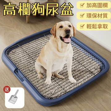 加高狗廁所 寵物尿盆 狗狗廁所 狗狗尿盆 狗廁所 狗尿盆 狗用品 尿盆 便盆 寵物便盆 狗便盆 狗尿墊 狗尿布