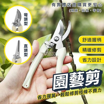 【現貨】花剪 園藝剪 安適園藝剪 直頭型/彎頭型 果樹剪  園藝剪刀 高枝剪 樹枝剪 修枝剪 花枝剪刀 粗枝剪刀 柚柚的店
