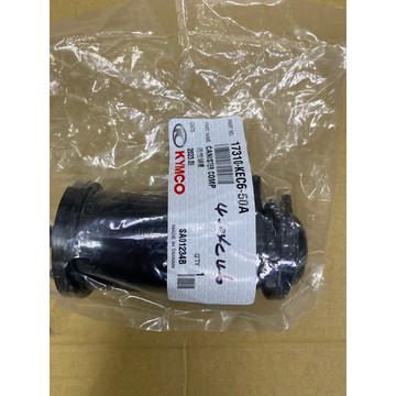 奔騰/如意（活性碳罐（正廠零件）$249 s