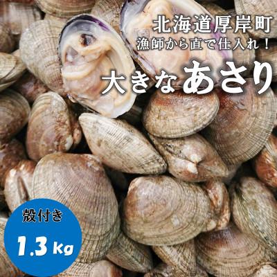 ふるさと納税 厚岸町 漁師から直で仕入れ!厚岸産の大きなあさり 1.3kg