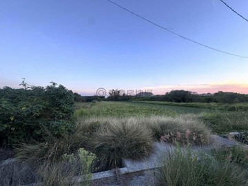 阿蓮中路段可做農保地形方正臨約6米路31307｜高雄市阿蓮區中路