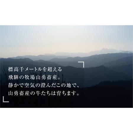 ふるさと納税 飛騨牛 焼肉用切り落とし 600g 岐阜県飛騨市