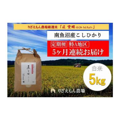 ふるさと納税 新潟県 南魚沼市 令和５年産　南魚沼産コシヒカリ　白米5kg＼生産農家直送／