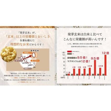 ふるさと納税 3日寝かせ 発芽 酵素 玄米 ごはん 125g×1食 大分県九重町