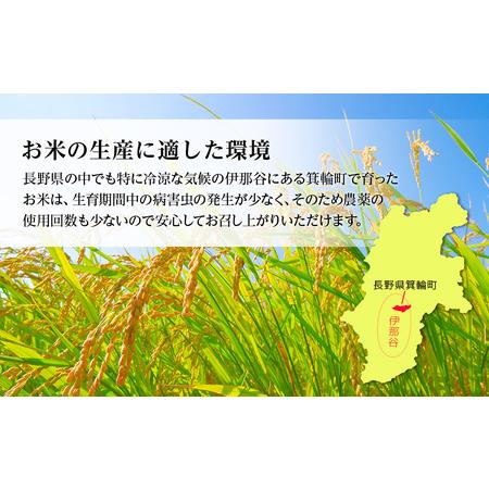 ふるさと納税 ６ヶ月連続お届け 定期便 信州産 コシヒカリ 1等米 「山の恵みの贈り物」 10kg（5kg×2袋）　計60kg （ お米 コ.. 長野県箕輪町