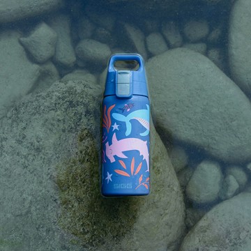 瑞士百年 SIGG Shield 超輕量彈蓋保溫瓶 500ml - 深海世界