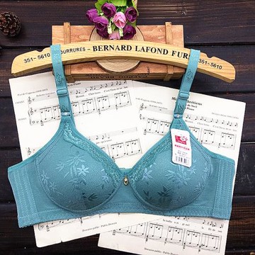 兩件包郵婷瑪9909無鋼圈中老年文胸 B杯薄款定型不易變形女士胸罩