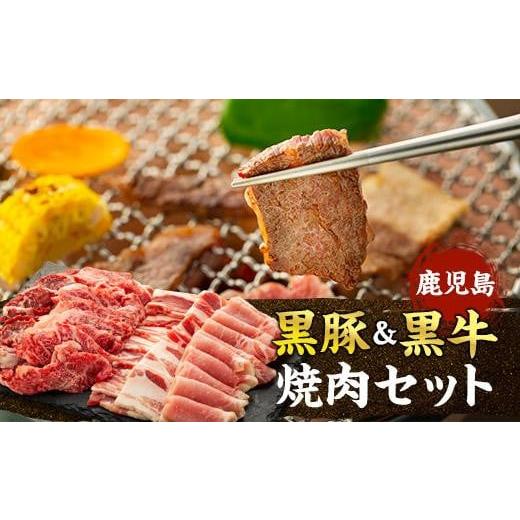 ふるさと納税 鹿児島県 大崎町 鹿児島黒豚・黒牛焼肉セット