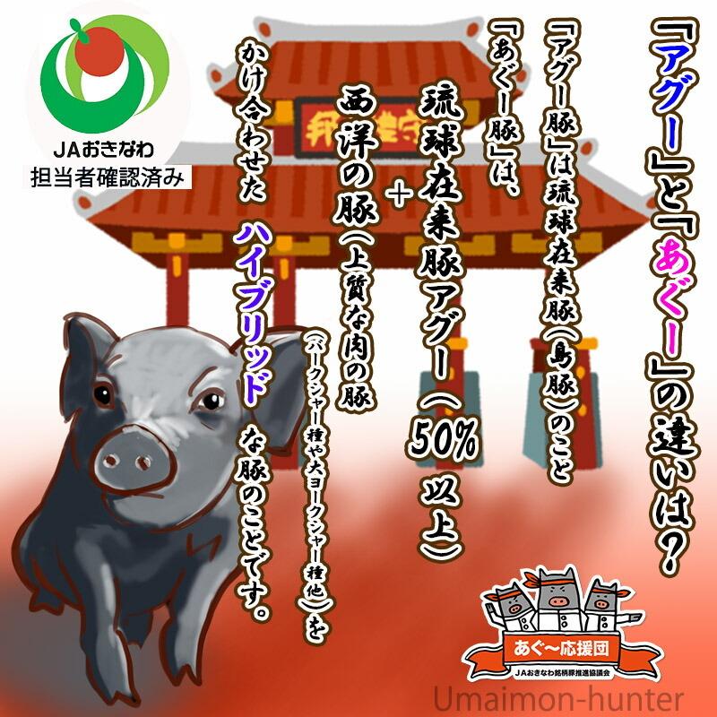 あぐー ロース 焼肉 500g×2P JAおきなわ 沖縄 土産 豚肉 県産ブランド豚あぐー ご自宅用に