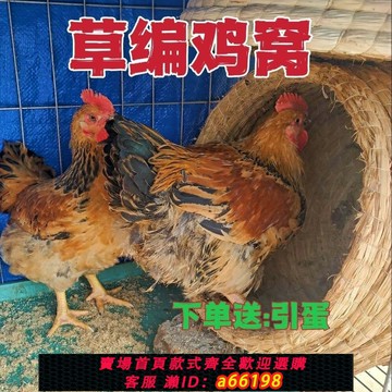 【台灣公司 可開發票】【93%好評率】雞窩雞下蛋窩草窩大號母雞產蛋草窩防側翻草編雞鴨鵝窩四季通用