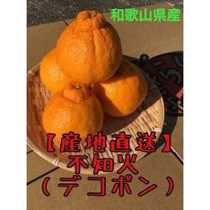 ふるさと納税 ☆不知火☆家庭用☆約5kg 和歌山県有田川町