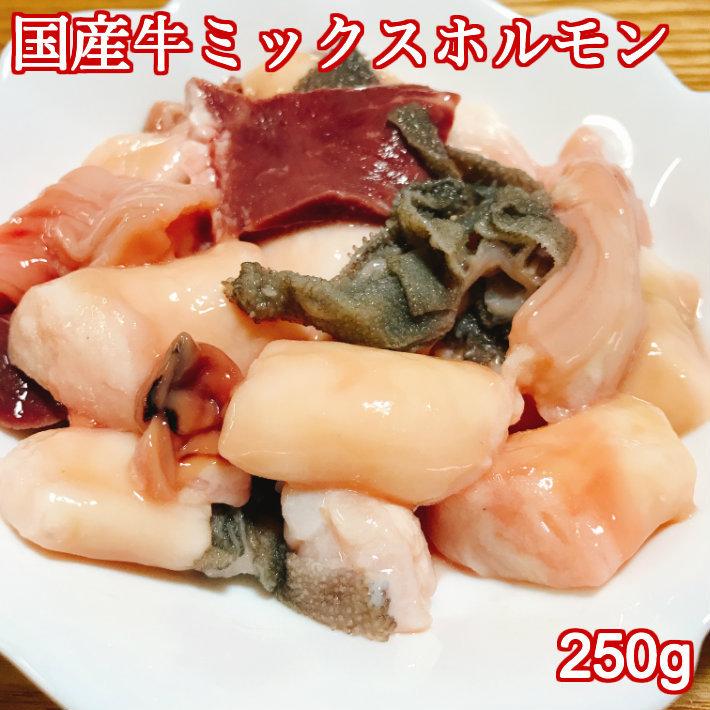 もつ鍋 2〜３人前 ホルモン250g 濃縮スープ300g 期間限定送料無料