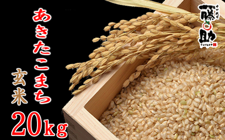  あきたこまち 玄米 20kg ／  十一代目藤助 米 産地直送 農家直送