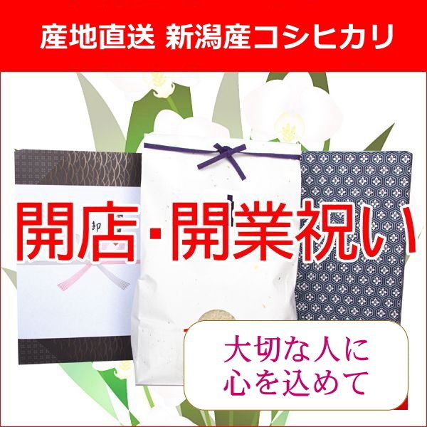 開店祝い 開業祝い 送料無料 米 コシヒカリ 1kg ラッピング 熨斗無料