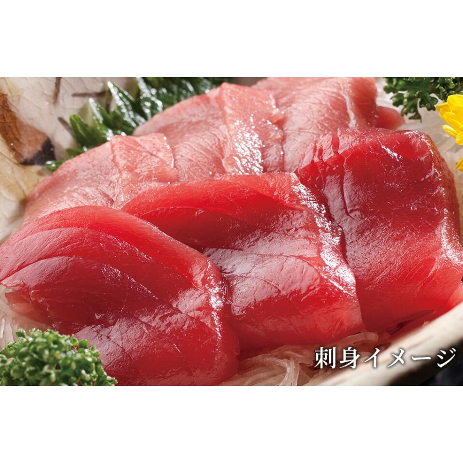 天然南まぐろ赤身＆中トロ刺身セット 500g 天然 南まぐろ 赤身 中トロ 刺身 詰め合わせ ギフト 内祝い 紅白 贈り物 国内 プレゼント お歳暮 敬老の日 挨拶