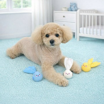【ParisDog】可愛小鳥乳膠發聲玩具 (寵物玩具)
