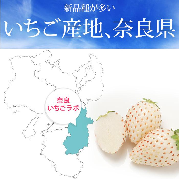 いちご 奈良県産 三色いちご（パールホワイト・淡雪・古都華） 約250g×2パック