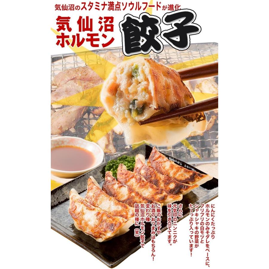 ホルモン 気仙沼ホルモン餃子 (8個×2パック) からくわ精肉店 豚ホルモン 赤 白 モツ 焼き肉 鍋 レシピ 作り方 お取り寄せ