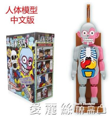 仿真人體模型拼裝成人恐怖骷髏惡搞發泄整蠱創意兒童益智玩具 LX 清涼一夏钜惠