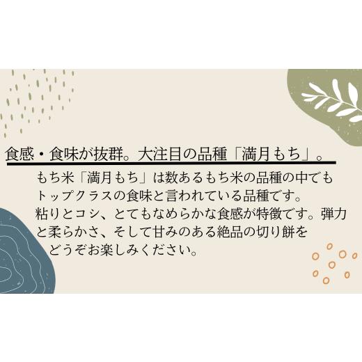 ふるさと納税 埼玉県 東松山市 農家の手作り玄米切り餅 200g × 2袋 計400g（マンゲツモチ米 埼玉県認証特別栽培米） 【 餅 モチ 切り餅 玄米餅 満月…