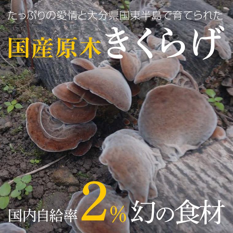 きくらげ スライス 50g 原木栽培 自然栽培 国産 無農薬 乾燥きくらげ キクラゲ 乾燥きのこ