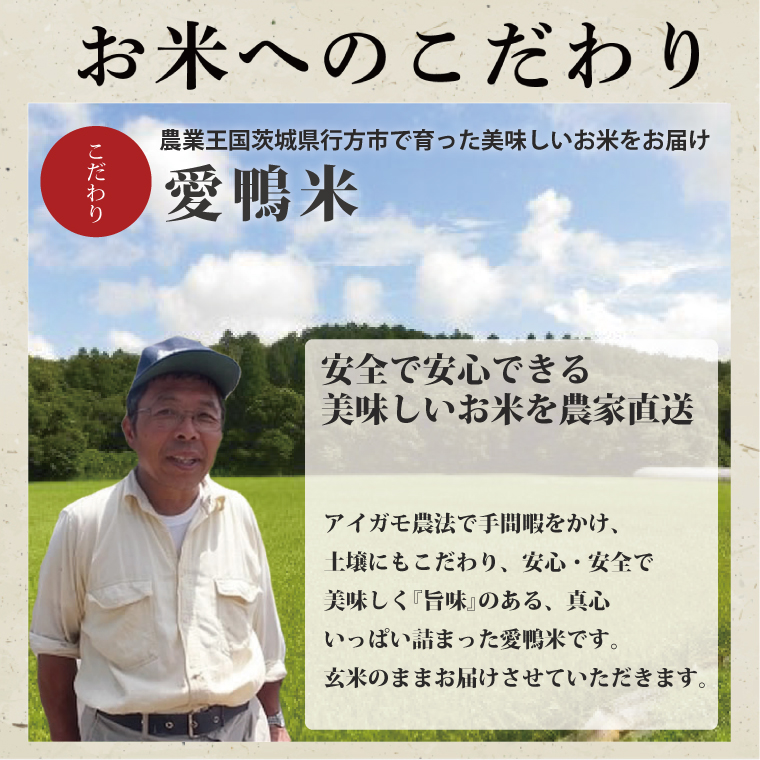 L-10 アイガモと一緒に育てたお米「愛鴨米・白米」3kg×12回