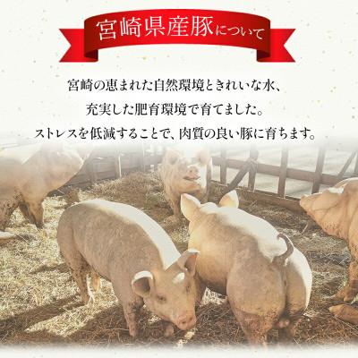 ふるさと納税 宮崎市 宮崎県産豚スライス4kg